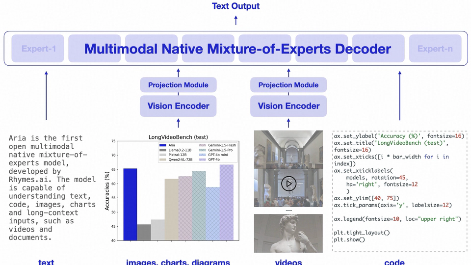 Aria: An Open Multimodal Native Mixture-of-Experts Model