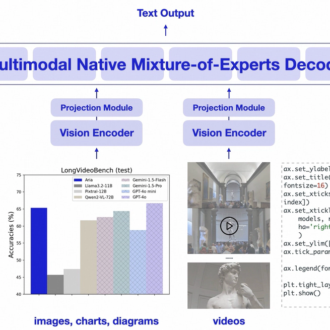 Aria: An Open Multimodal Native Mixture-of-Experts Model