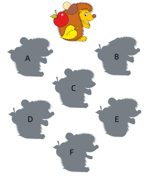Shadow Match input